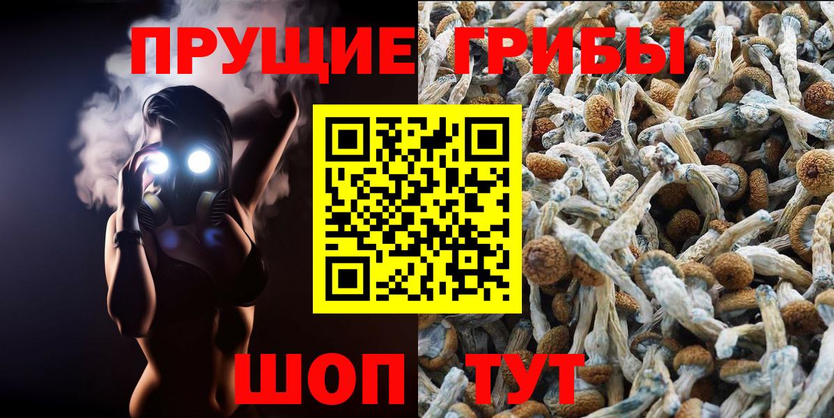 Псилоцибиновые грибы ЛСД  Вход с VPN  Тайшет  Галлюциногенные грибы Psilocybe 